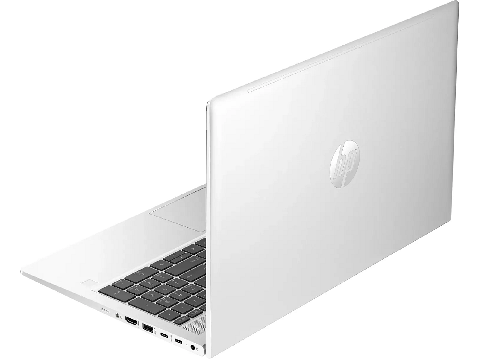 Hewlett Packard ProBook 450 G10 Pike Silver, 15.6